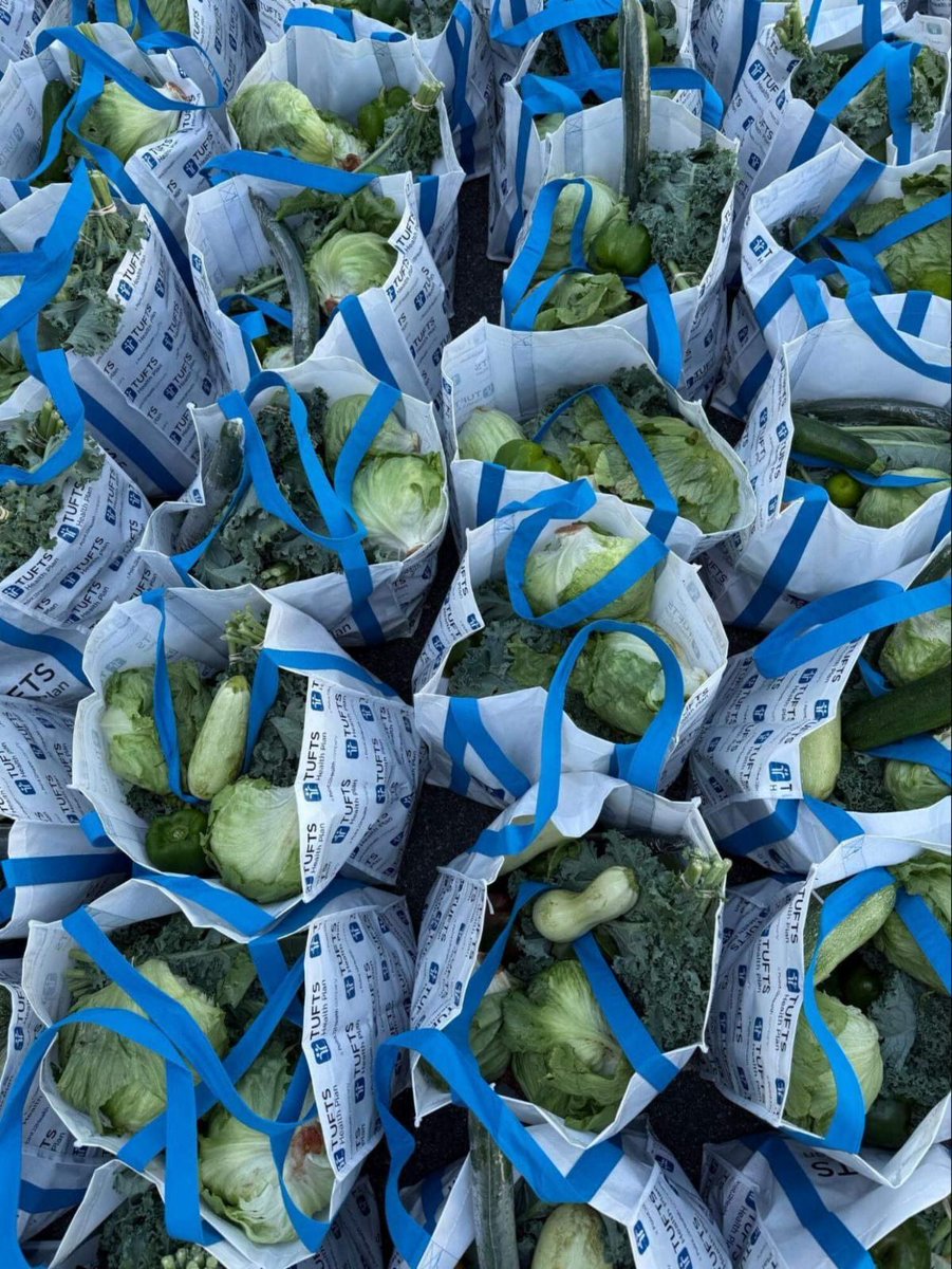 challiance's tweet photo. With the assistance of @Gr8BosFoodBank, @tuftshealthplan and @point32health, Saturday’s Mobile Market reached 2084 participants. We distributed 550 bags to 1213 adults, 641 children, and 230 seniors. 35 individuals received free blood pressure screening &amp; hypertension education. https://t.co/xKkteI8fFz