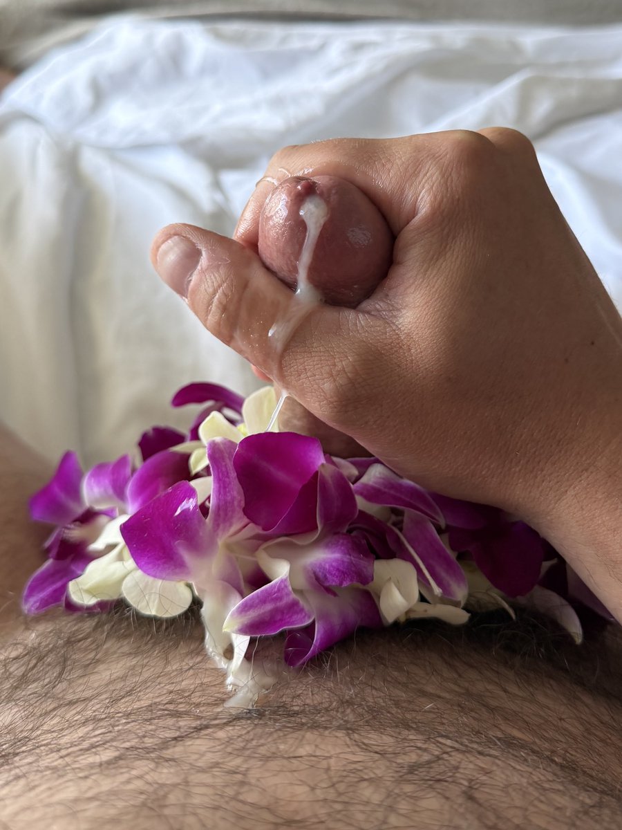 FFriendlyGuy1's tweet photo. Aloha🌺 https://t.co/36EkTTC2El