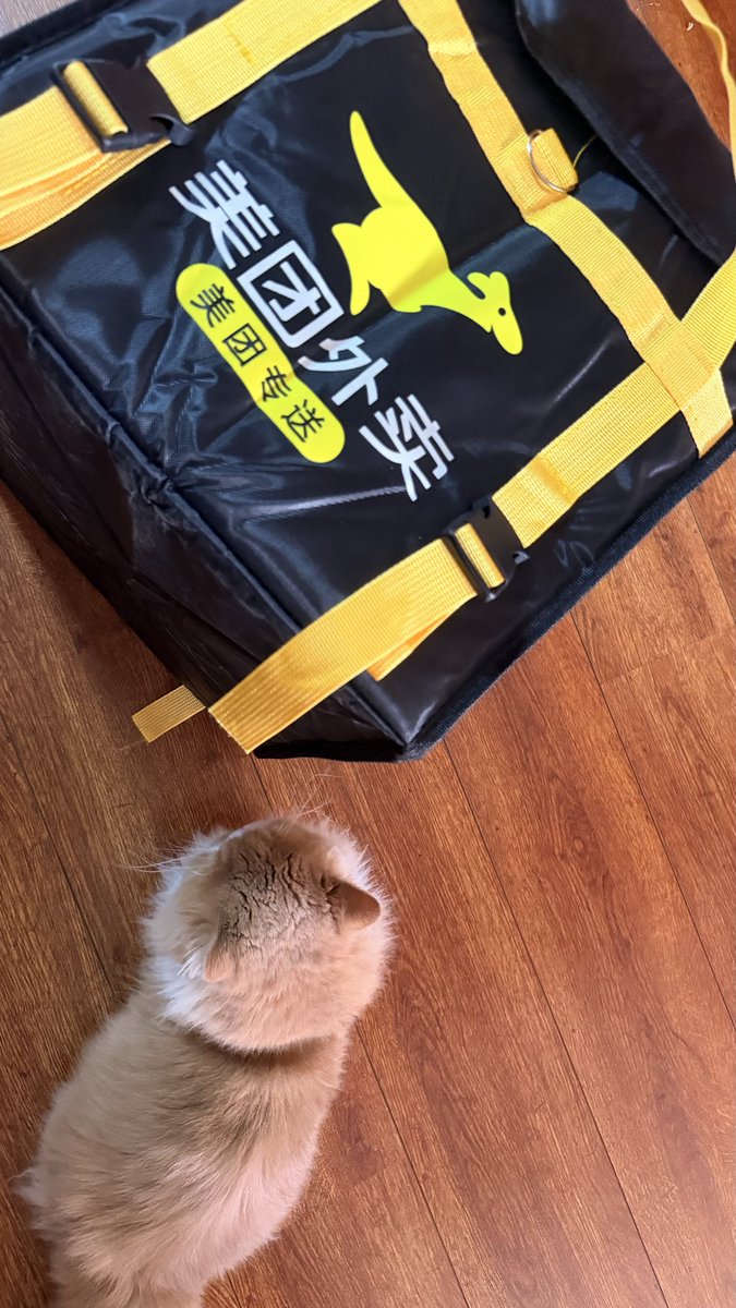 比特肥 || Bitfatty (🍀,🍀) tweet media