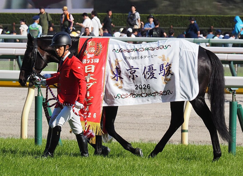 TAITANBAHT's tweet photo. 【競馬】今年皐月賞4/19•ダービー5/31制した２冠馬ロブチェン(ディープインパクト孫)3冠目指す菊花賞見据え神戸杯9/21(阪神)神戸新聞杯へ
★親子孫3代連続菊花賞10/25制覇に挑む
★父ワールドプレミア(GI.1)持つ長距離向きスタミナ•切れ味母ソングライティング持つスピードの高い持続力•パワー血統 https://t.co/NXzOddCafK