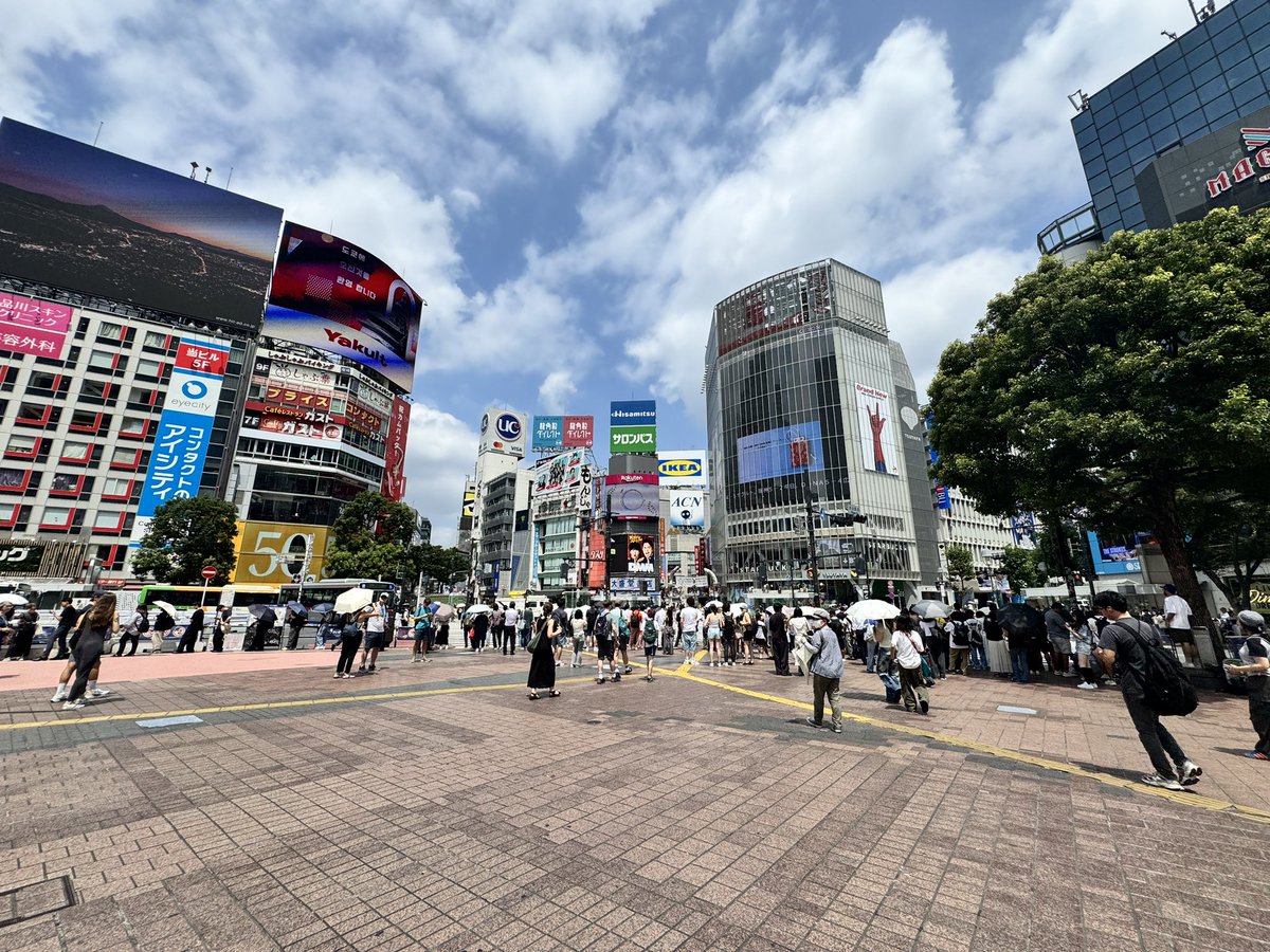 RihitoPs's tweet photo. レポート提出だけでわざわざ東京出たからついでに聖地巡礼
雰囲気感じれて良いね https://t.co/vRSQr4r5Yt