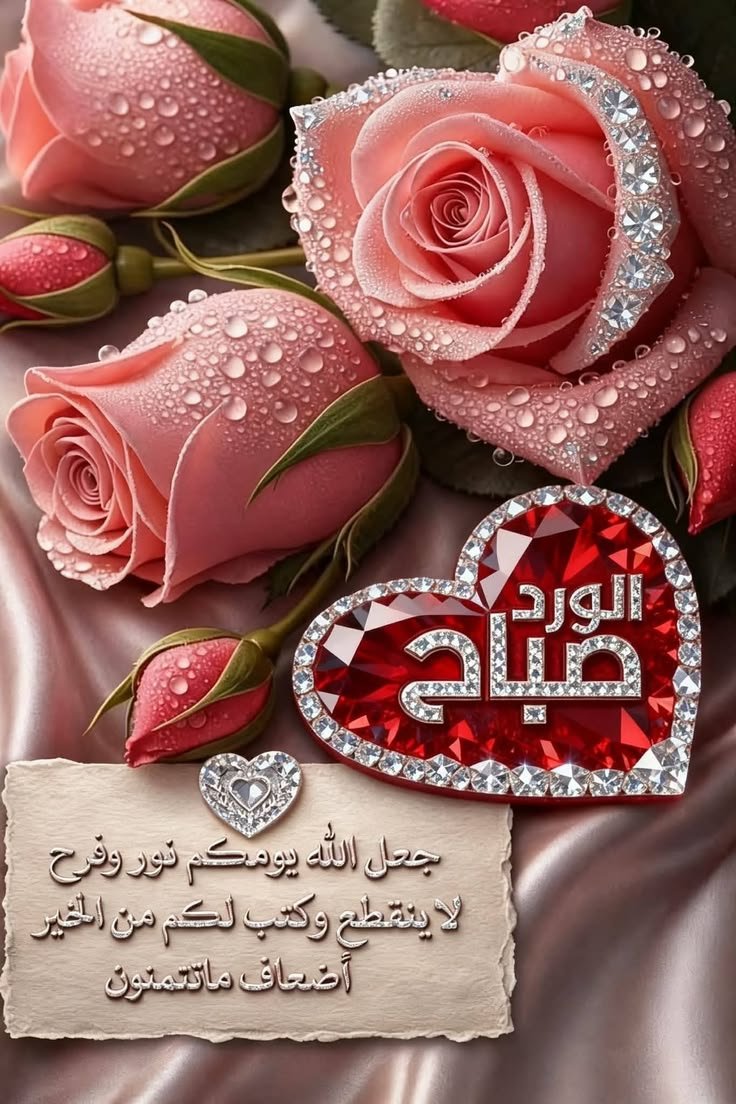 كلي امل 🌹🌺🌸 tweet media