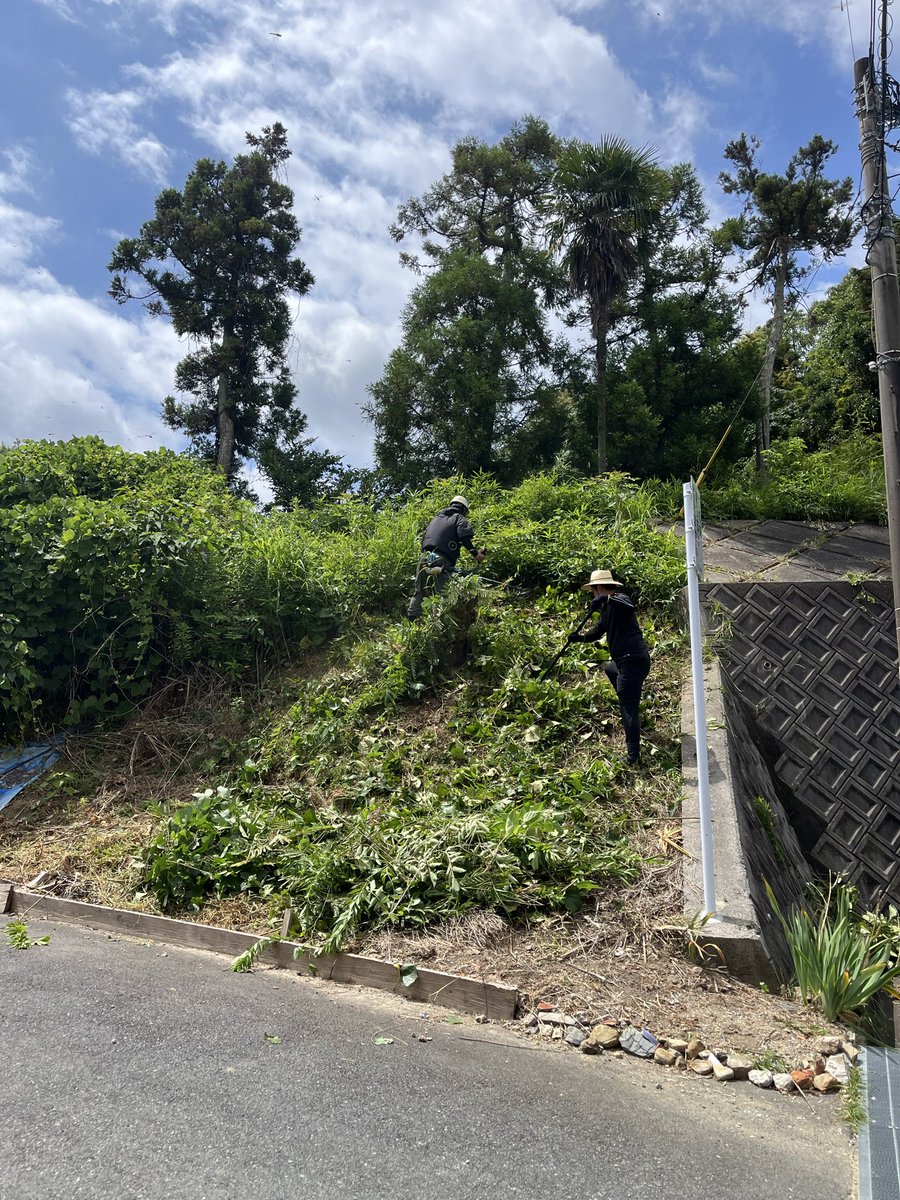0803hi2368's tweet photo. 皆さんおお久しぶりです。
決して仕事をサボっていたわけではありません笑

本日は草刈りですが、敷地内なので主に見守る業務となっております。
午前中二時間ほど資格路線でしたが、いまはのんびりしております。

暑いので熱中症に気をつけて立哨しよう
と思います🫡 https://t.co/t56zDoGpfj