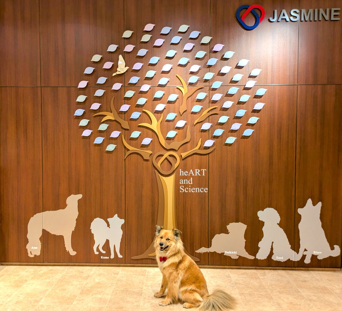JASMINE_Vets's tweet photo. 待合室の壁には、大きな木のモニュメントが設置されています。その葉一枚一枚には、ドナー登録をして献血にご協力くださった子たちのお名前が刻まれています。日々の診療を支えてくださる大切なパートナーとして、感謝の気持ちを込めて掲示しています。ご来院の際は、ぜひ足を止めてご覧ください。 https://t.co/U5FbJ4JiG5