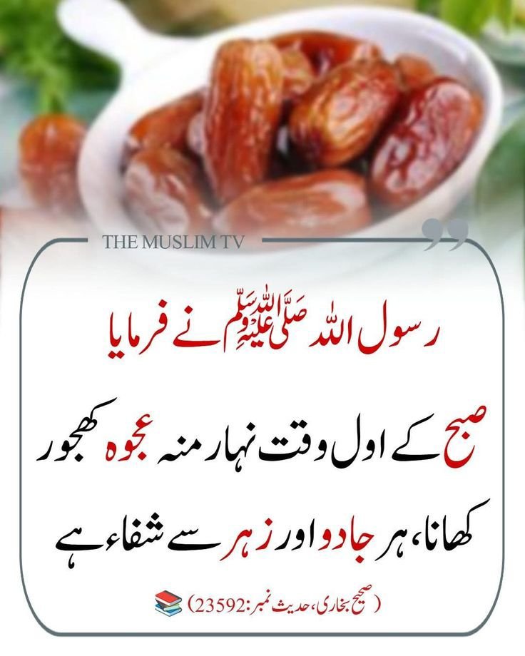 ChotiSheikhni's tweet photo. سبحان اللّٰہ 
ہمارے پیارے نبی صلی اللّٰہ علیہ وآلہ وسلّم نے فرمایا https://t.co/PfMU7JDRpG