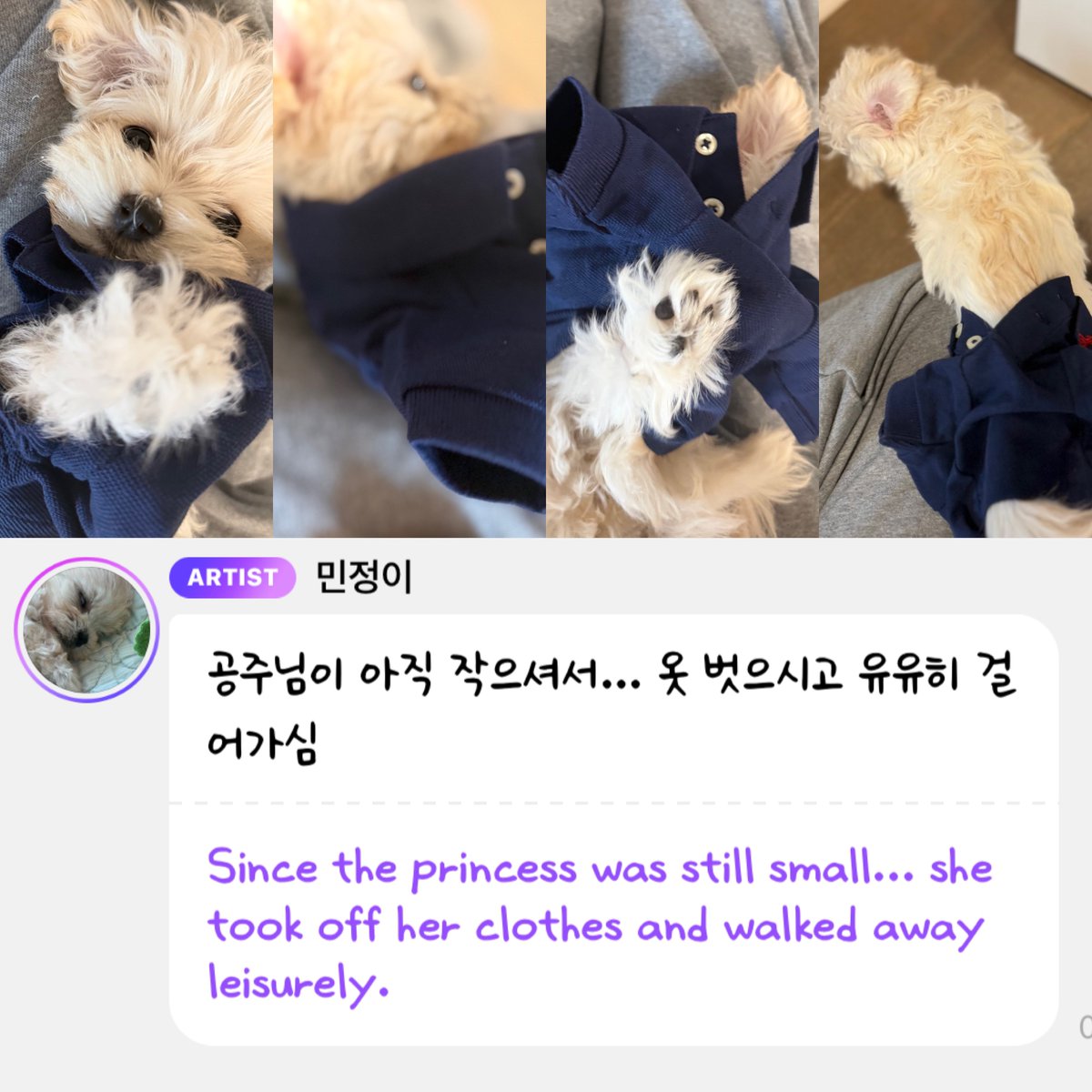 Dabeztt's tweet photo. เป็นเจ้าหญิงของหม่ามี้อ่า 🥰🐶👑 https://t.co/APAxhMqH6X