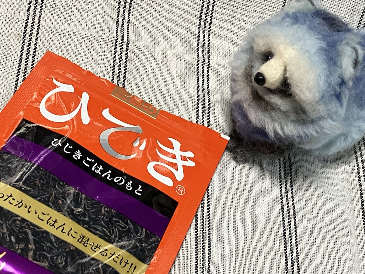 にんげんのみなさんおはようございます 惑星タヌーキです 夏の暑さが