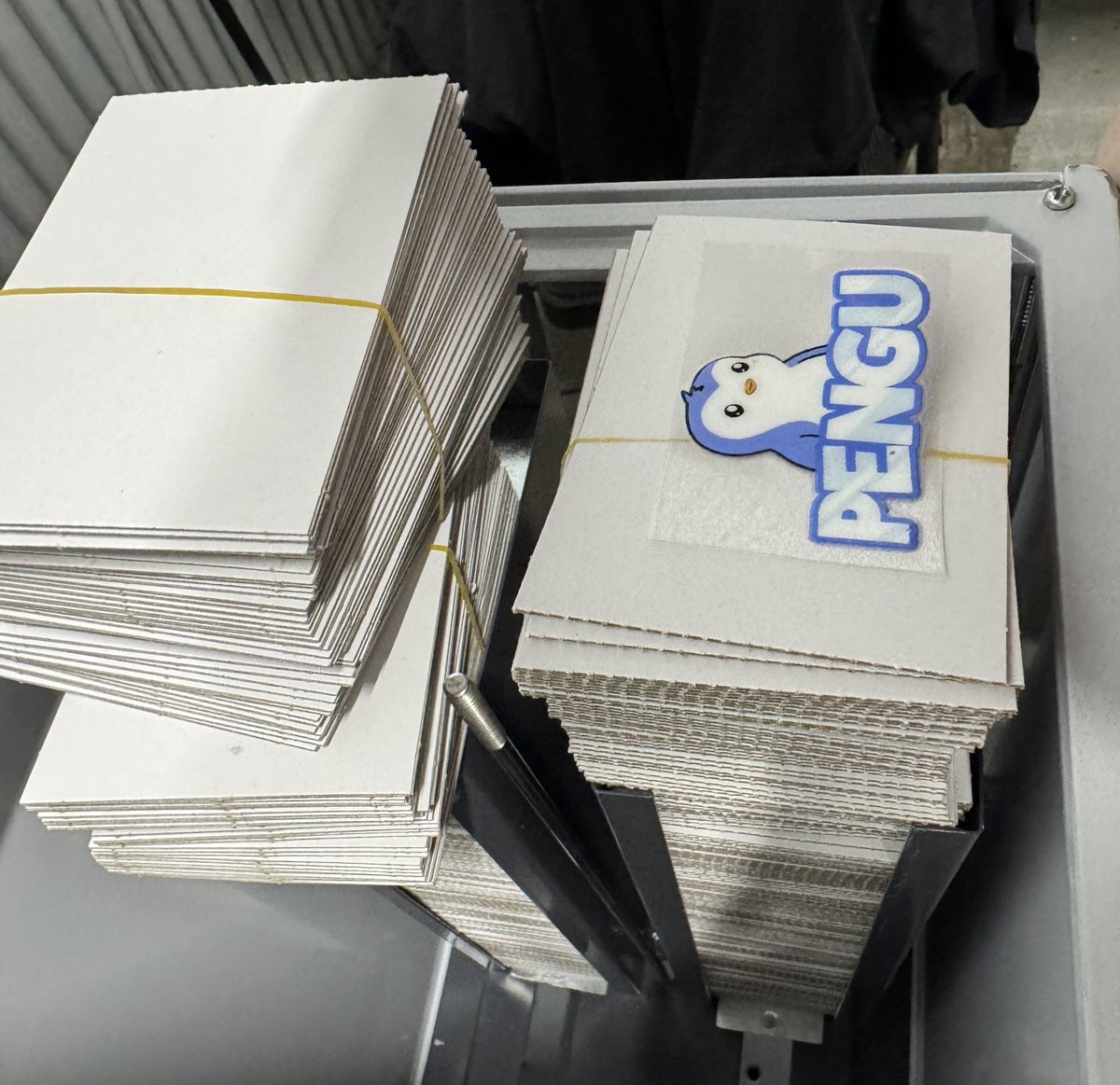 Pudgy Penguins Canada tweet media