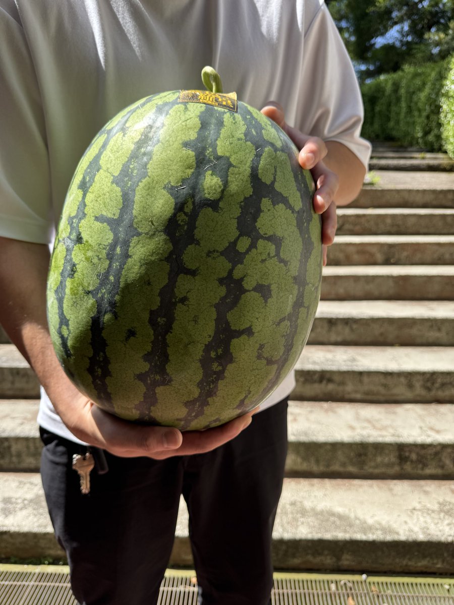 ごまごま ごまごま。 5Lサイズ👑金色羅皇🟡🍉 残り2個です〜！バイク🏍️では