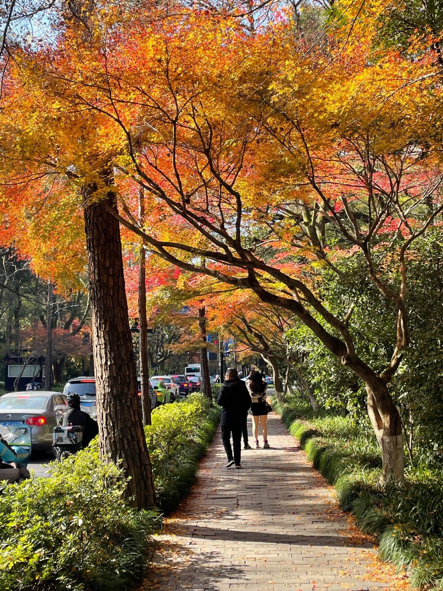Yashiro70651016's tweet photo. Clear blue skies and a warm breeze make this fall afternoon perfect for a walk outside! https://t.co/UCtCbNlcYm