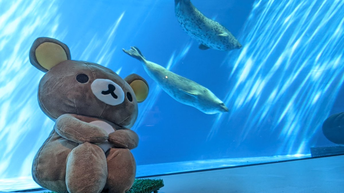 TOuGO_V's tweet photo. リラックマが色んなとこにいました！ https://t.co/94FXMWpcAC