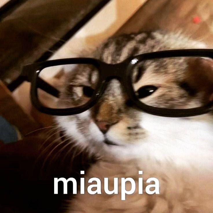 alura 🐈⬛ FLASHBACK 📸 tweet media