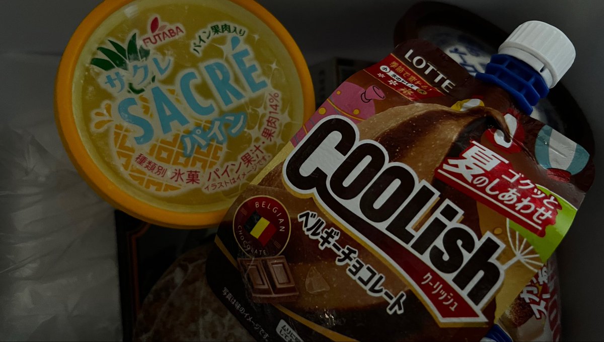 spl_yaru's tweet photo. クーリッシュベルギーチョコレートとサクレパイン売ってた☺️ https://t.co/Efc7yFzINq