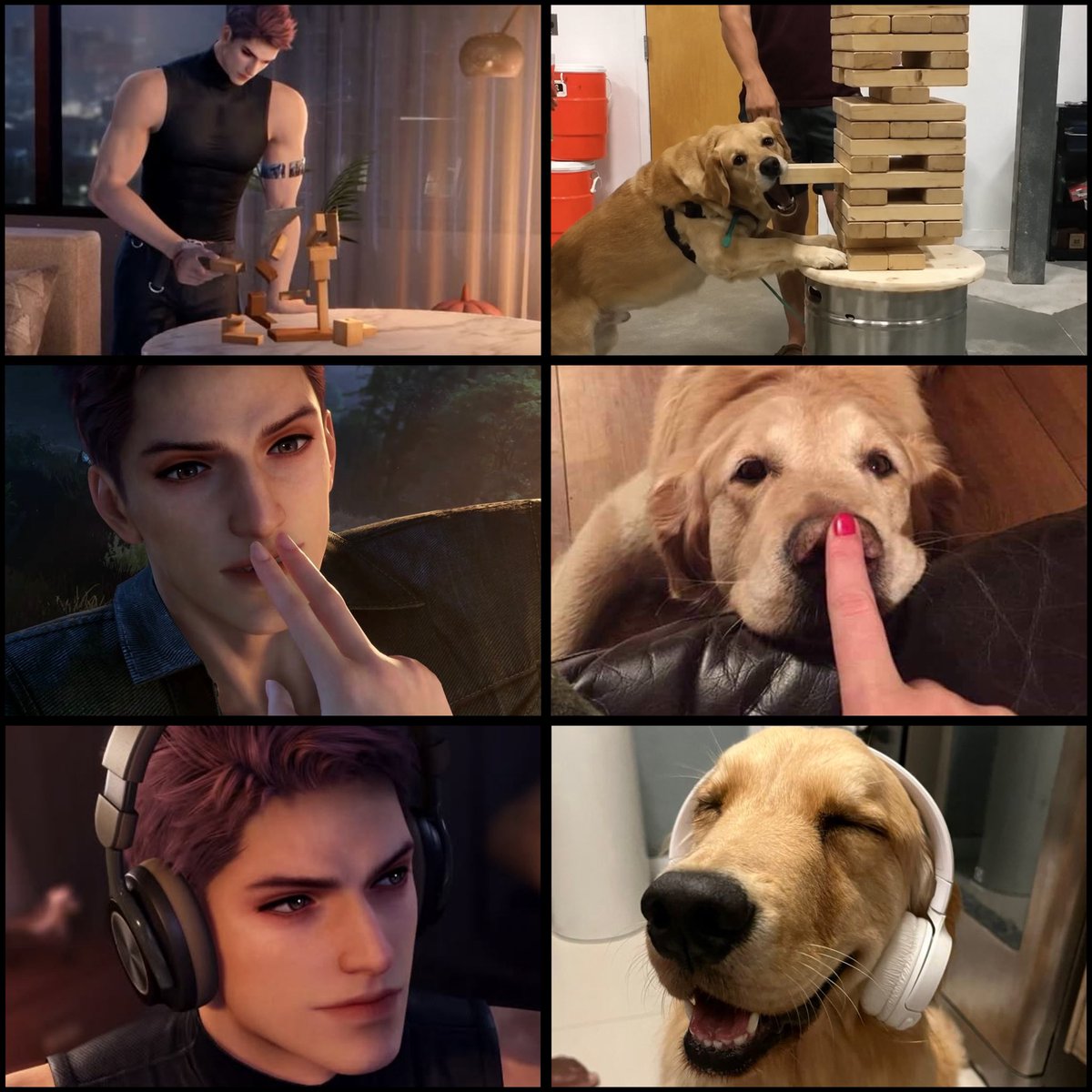 Angysartist's tweet photo. Hes the goodest boy ever 🥹❤️
#ValkoIsLoved #WeLoveValko #ValkoIsInnocent #BringBackValko https://t.co/VQtYmu5Puc