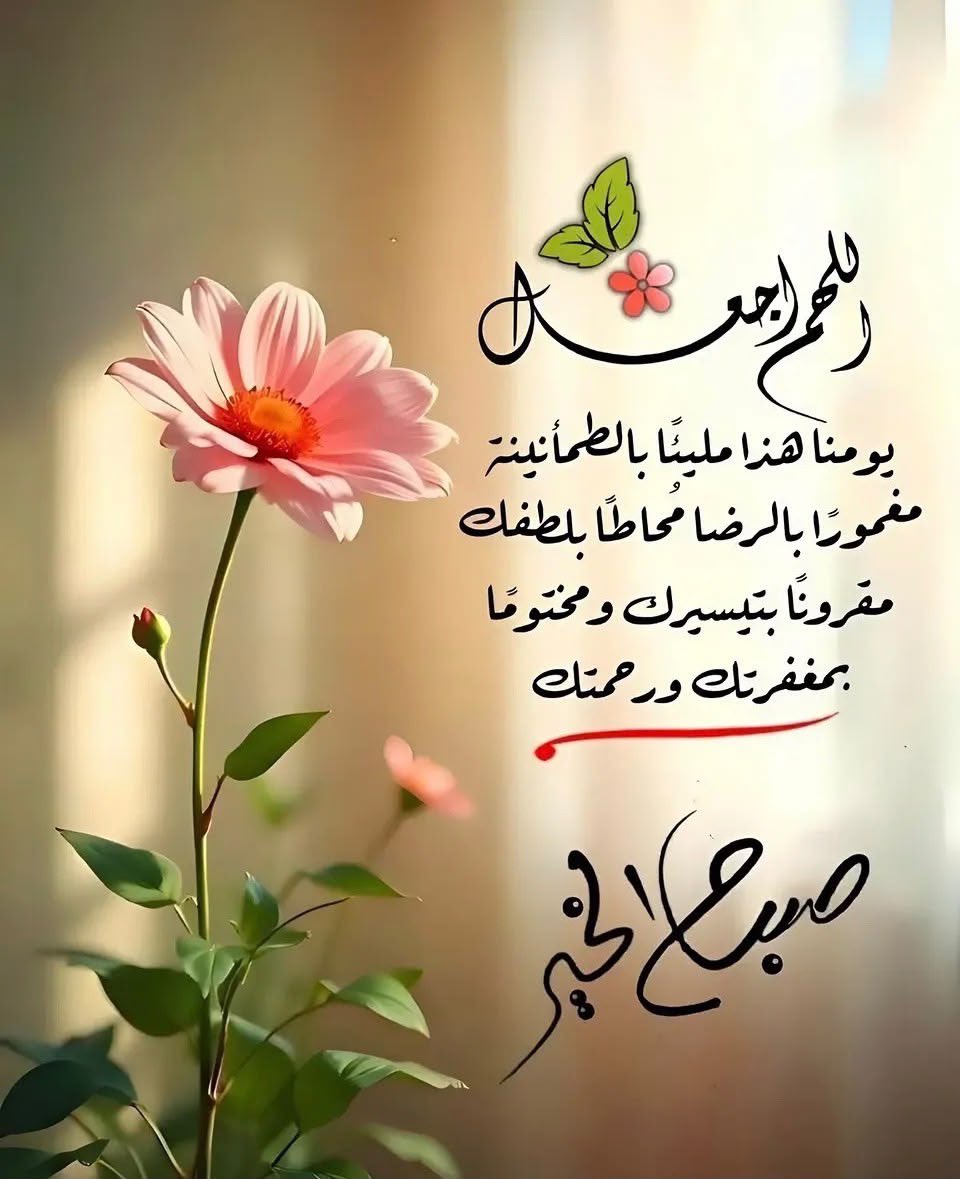 ن&؏ tweet media