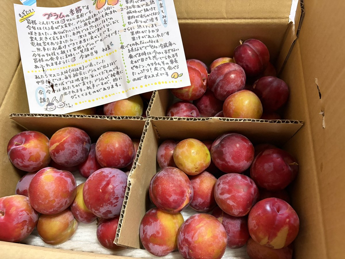 taromar_u's tweet photo. メルカリといえば中古品のイメージがあると思うのだが、私は果物を買うことが多い。農家や家庭菜園をやっている人が直接出品していて、新鮮なものが届く。今回、長野のプラムを注文したら、甘くて、とてもおいしかった。しかも、生産者さんからの手紙まで添えられていた。 https://t.co/Ui5Z68eAuc