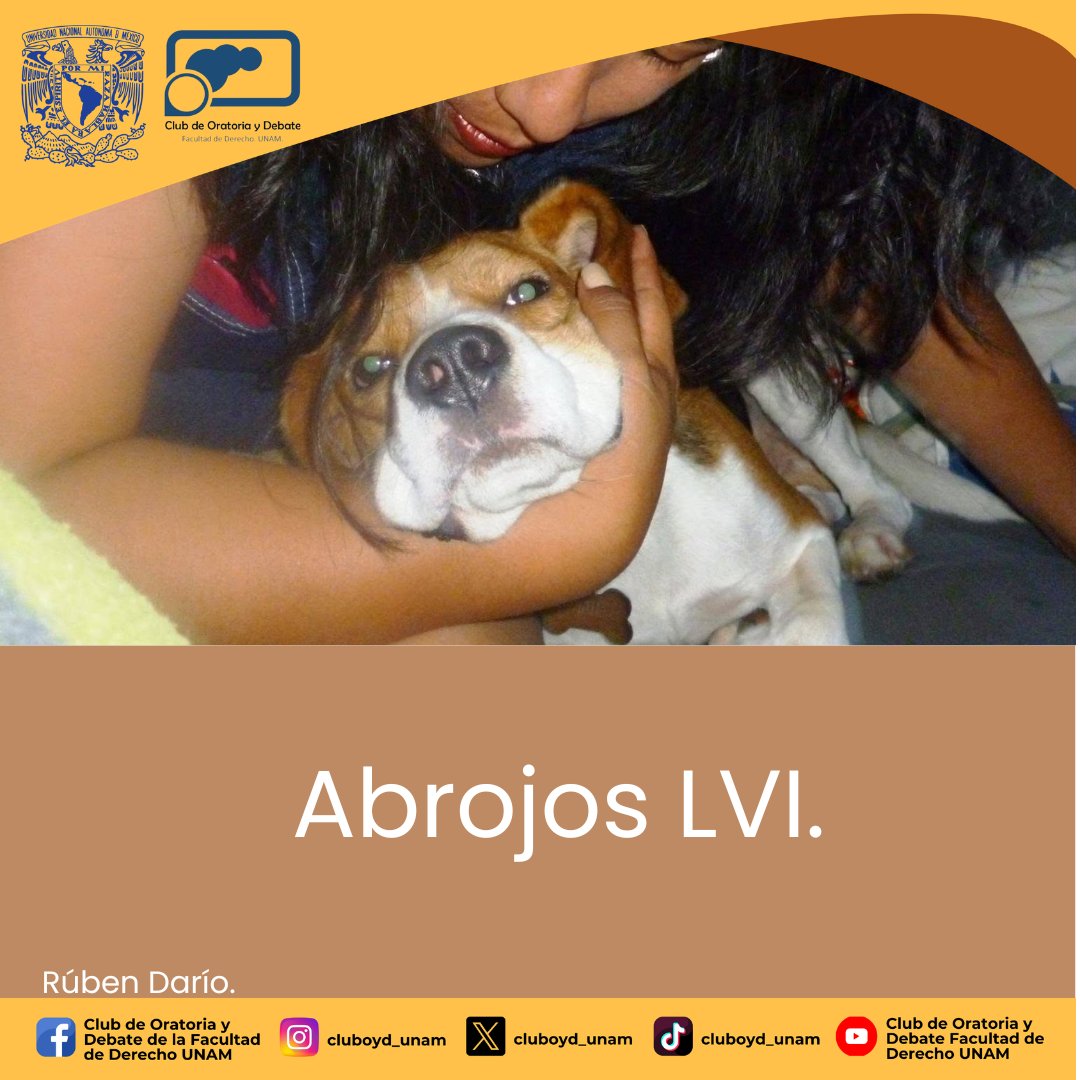 ClubOyD_UNAM's tweet photo. Abrojos LVI.

Tengo de criar un perro,
ya que en este mundo estoy.
No me importa lo que sea,
alano, galgo o bull-dog;
lo quiero para tener
un tierno y fiel queredor
que sonría con el rabo
cuando le acaricie yo;

Rubén Darío. https://t.co/5ATEfJQoW3