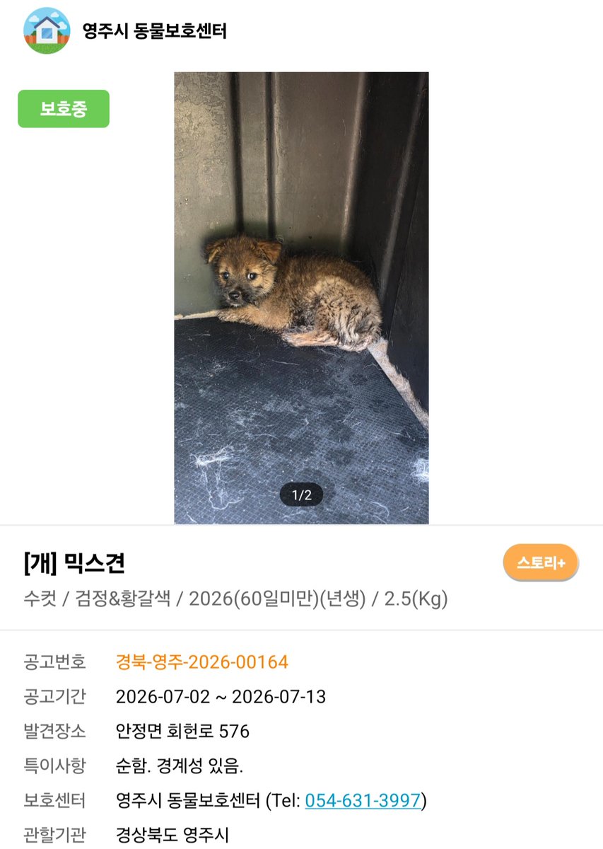 midareru's tweet photo. 가족을 기다리고 있어요
아이들의 손을 잡아주세요 https://t.co/149YevciIG