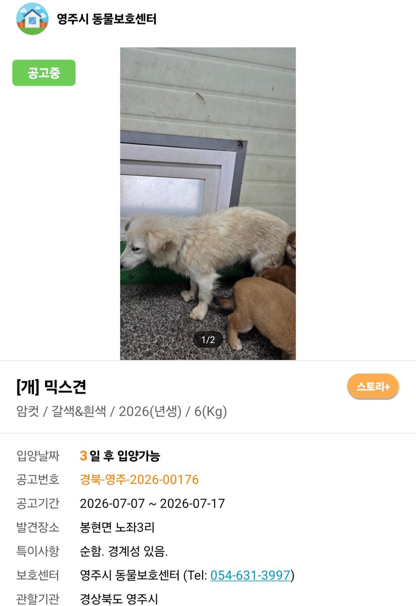midareru's tweet photo. 가족을 기다리고 있어요
아이들의 손을 잡아주세요 https://t.co/149YevciIG