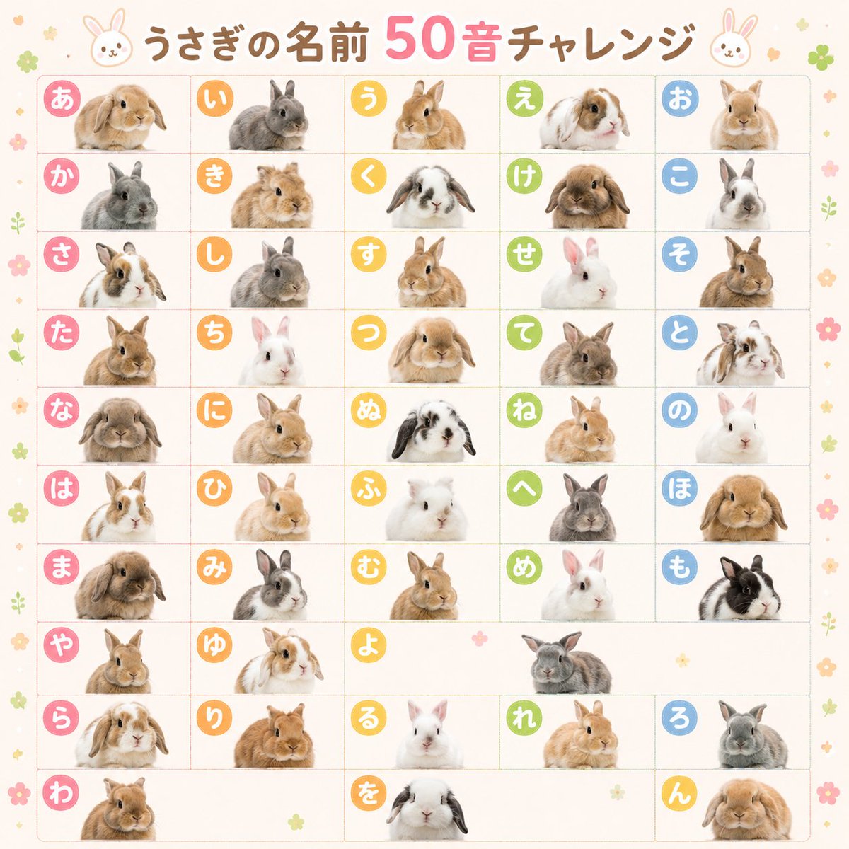 うさぎ