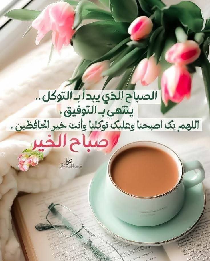 Amira Mohamed tweet media