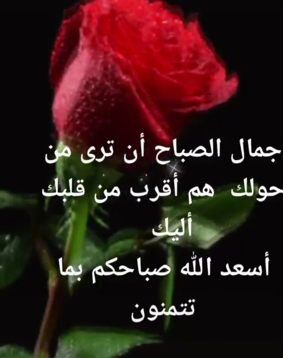 F_lotusa's tweet photo. لا إله إلا الله أصبحنا وأصبح الملك لله والحمد لله والصلاة والسلام على رسول الله صل الله عليه وسلم https://t.co/RC4lu4mbau