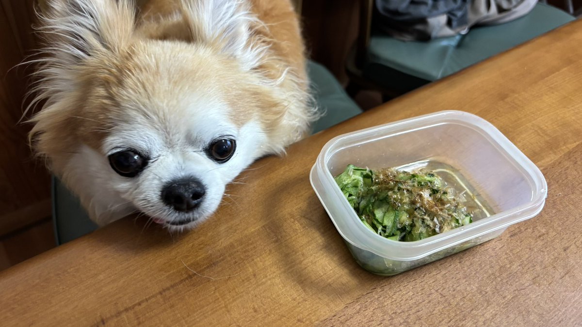 きゅうりの酢の物🥒