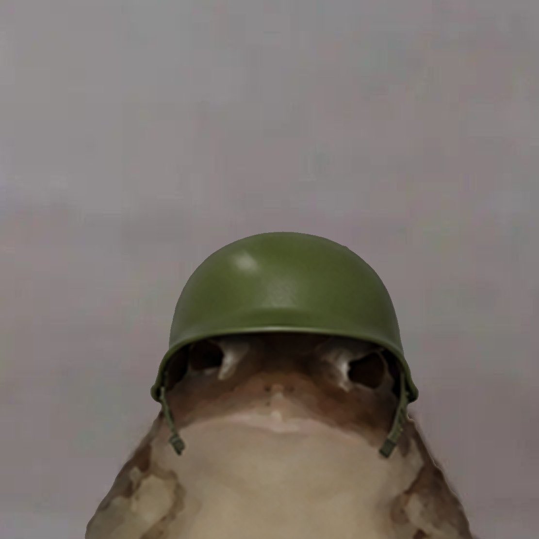 fregislife's tweet photo. Helmet on. Back to the trenches. 🪖 https://t.co/5FewLzAcHp