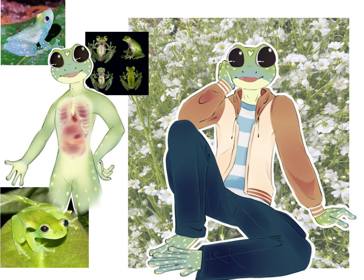 Cloud_toast__'s tweet photo. Well... first of all, I was undecided about uploading this because of Javi's body; since he's a glass frog, I wanted him to look like one actually is. https://t.co/JJI70Rx15b