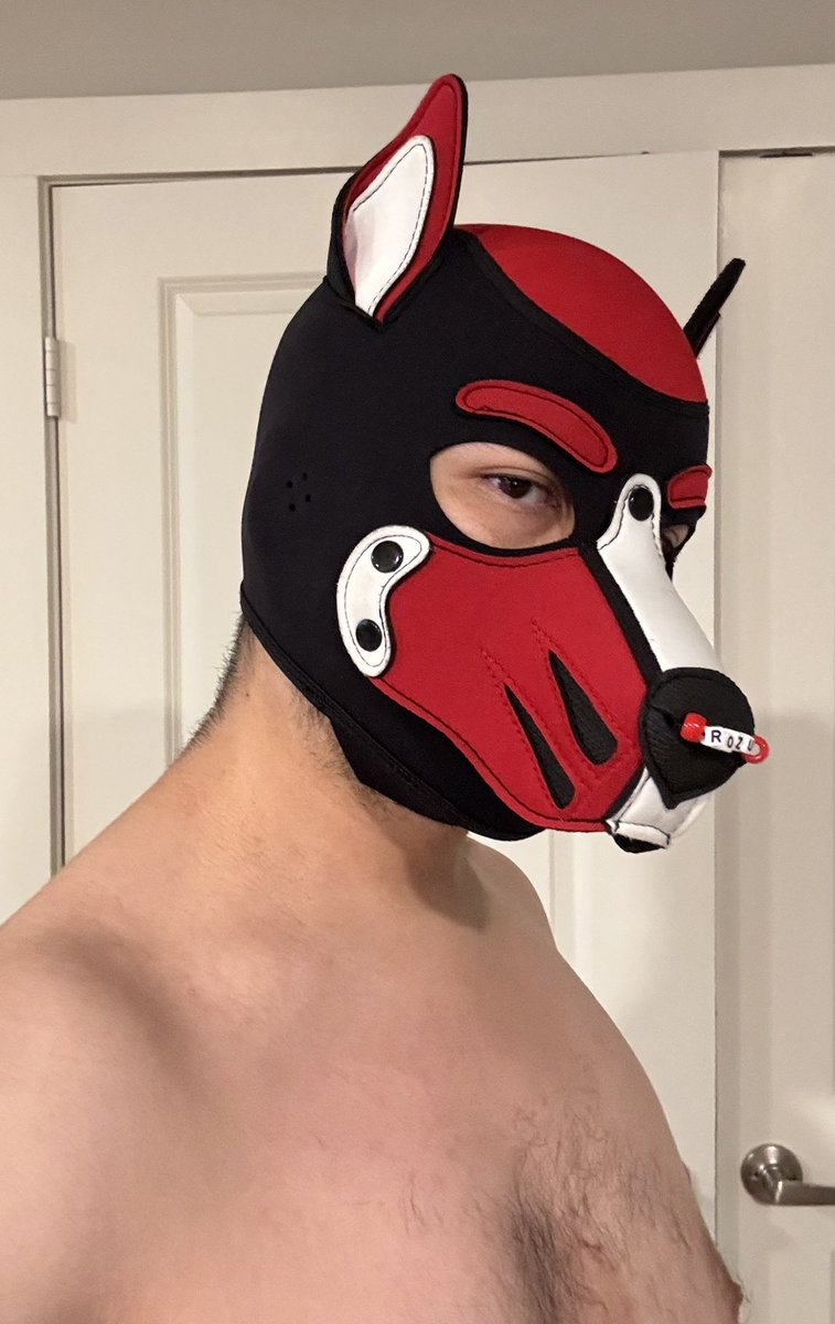 ♦️ Pup Rozu ♦️ tweet media