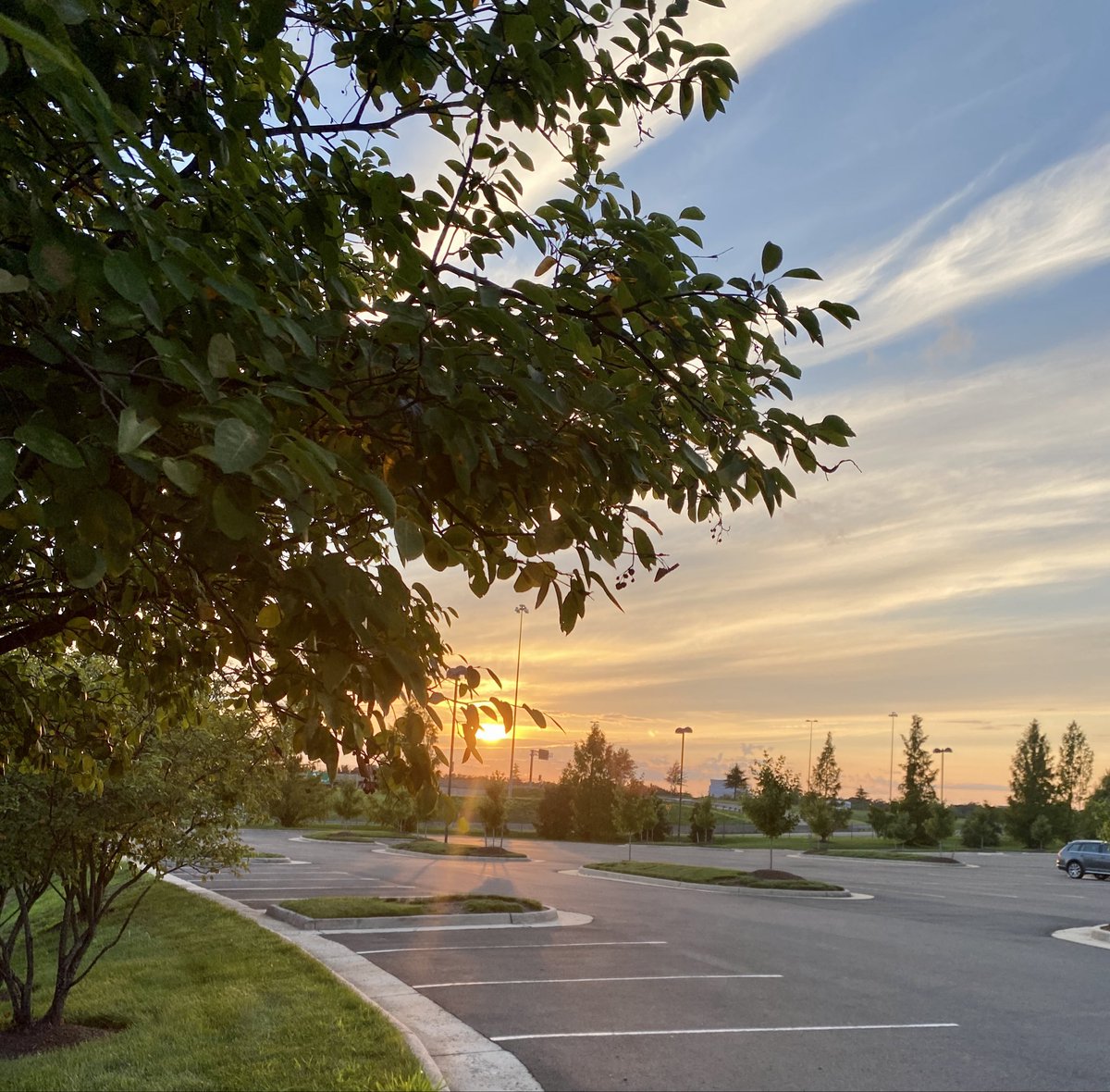 LiciousCoffee's tweet photo. The 🌎 is full of amazing contents, see it, recognize it, create IT—find Art in Nature.
🧡 Beautiful 🪽☁️ 🪽and #Golden Sunset 🌅
#Nature #NaturePhotography #Photography #PhotographyIsArt #Tree #Park #NatureWhisperer #Sunset #SunsetPhotography #NatureWalk https://t.co/7qYpkU1ICX