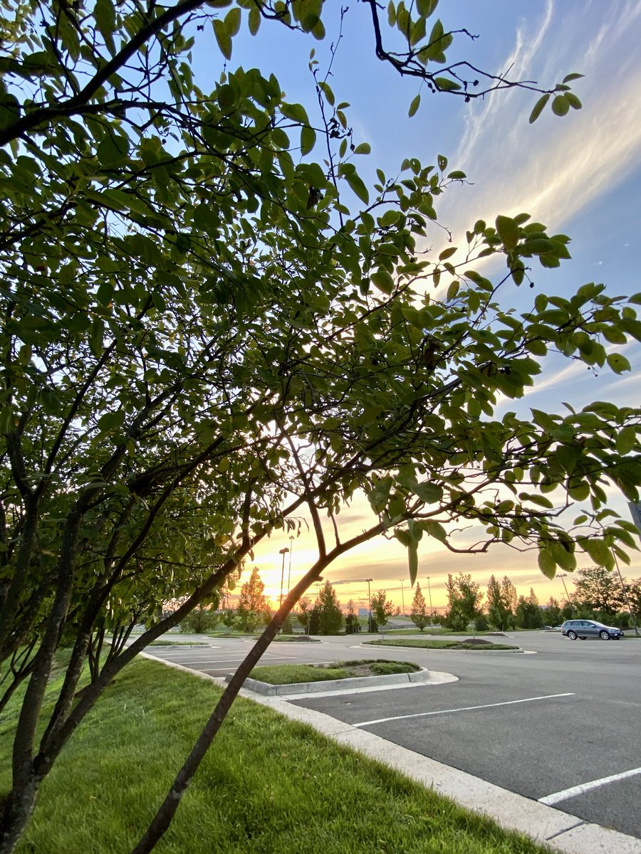 LiciousCoffee's tweet photo. The 🌎 is full of amazing contents, see it, recognize it, create IT—find Art in Nature.
🧡 Beautiful 🪽☁️ 🪽and #Golden Sunset 🌅
#Nature #NaturePhotography #Photography #PhotographyIsArt #Tree #Park #NatureWhisperer #Sunset #SunsetPhotography #NatureWalk https://t.co/7qYpkU1ICX