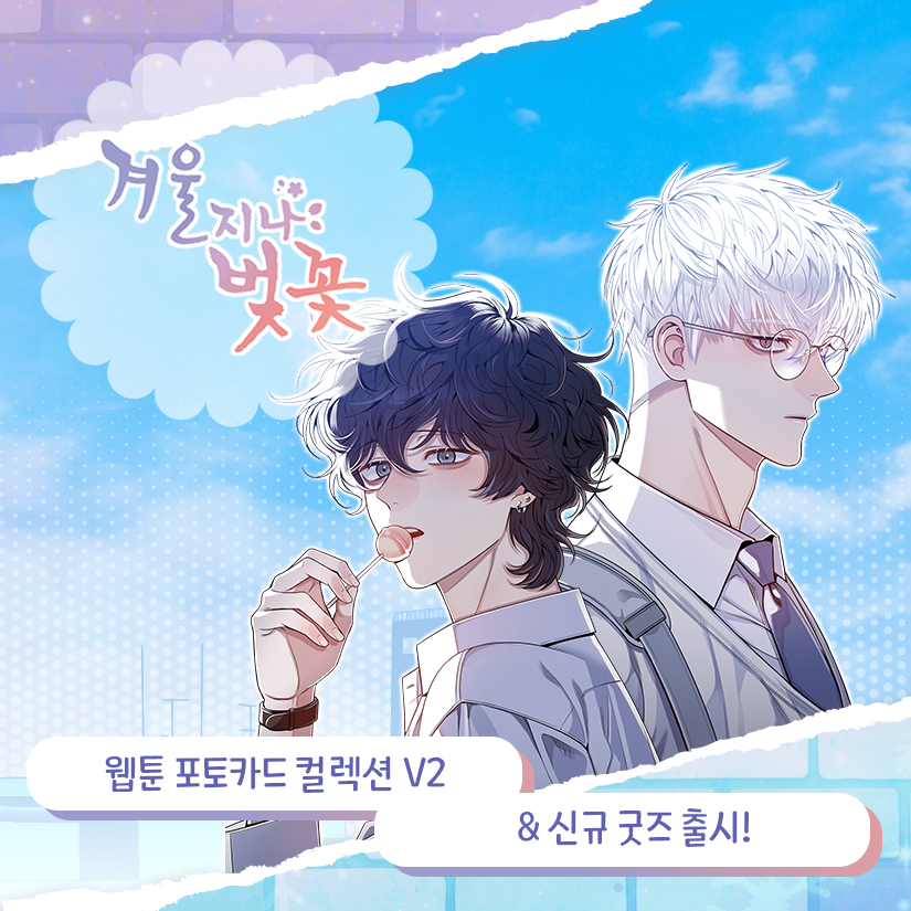 webtoonshop's tweet photo. 🔔 #웹툰샵_신제품 🔔

❄️🌸 겨울지나벚꽃❄️🌸 
장마 내리는 여름에도 봄처럼 활짝 핀 태성해봄💗
태성해봄의 일상을 담은 포토카드가 왔어요🩵🩷

#겨지벚 웹툰 컬렉션 포토카드(랜덤) V2 출시!
앞으로 출시될 신규 굿즈도 기대해 주세요💕

📅 예약판매 기간: 2026.07.15~2026.08.12
.
.
📌 구매하기
🛒 https://t.co/pa47CXxV7V 웹툰샵 공식 쇼핑몰
🛍️ https://t.co/5vBx8HCcA3 네이버 쇼핑
🌍 https://t.co/Nb3nvPXDFs 글로벌 사이트
.
.
#웹툰샵 #웹툰굿즈 #겨울지나벚꽃 #포토카드 #컬포
#冬すぎて桜 #CBAW #CherryBlossomsAfterWinter