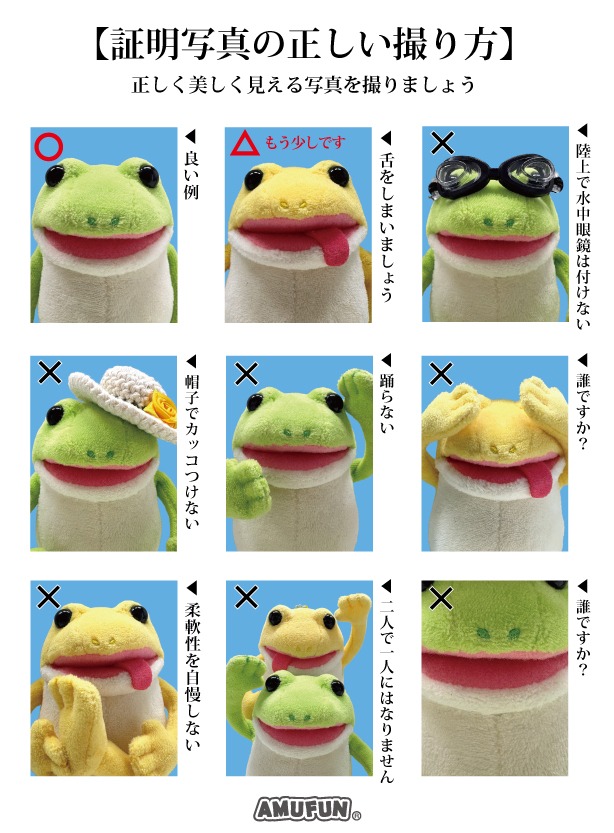 AMUSE_manga's tweet photo. 証明写真の撮り方を教えるピョン

#おとぼけケロピョン https://t.co/rdfYgTrZMu