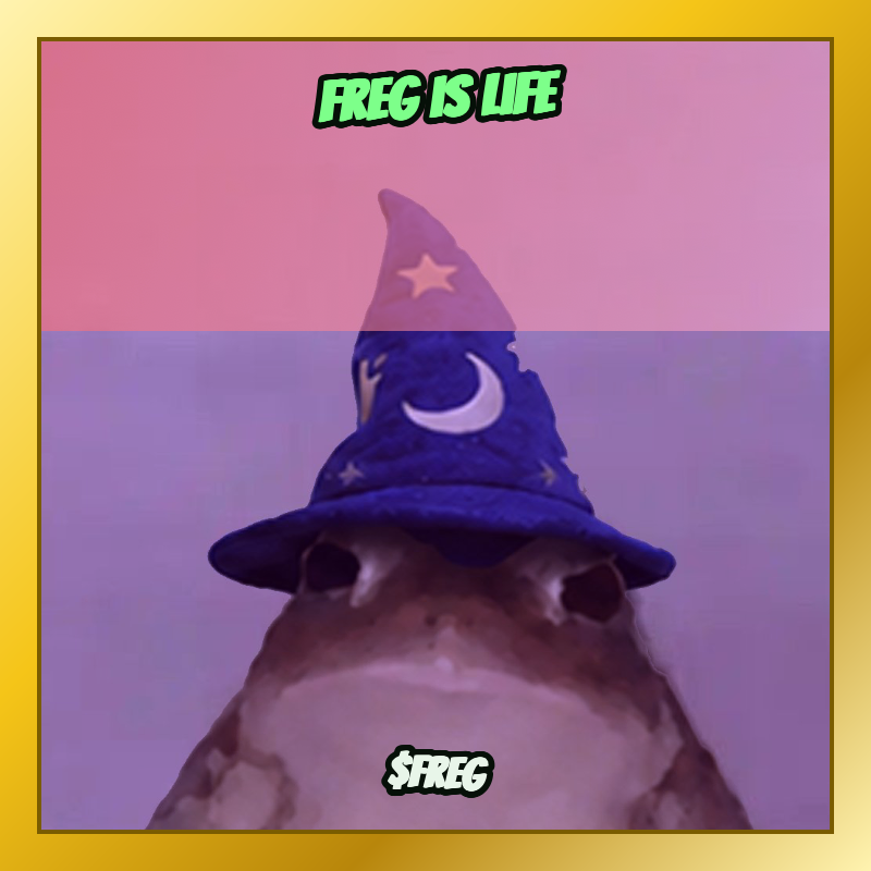 fregislife's tweet photo. freg it https://t.co/jq5SLZ4F7I