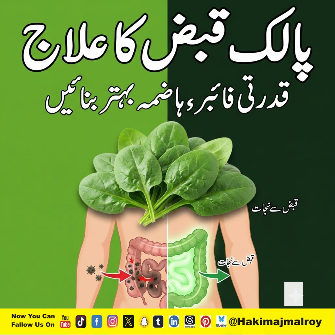 ajmalroy's tweet photo. پالک (spinach) پالک فائبر اور میگنیشیم سے بھری ہوئی ہے جو آنتوں کی حرکت کو چالو (activate) کرتی ہے اور قبض کو مؤثر طریقے سے ختم کرتی ہے۔ روزانہ پالک کھائیں — خام سلاد میں یا پکی ہوئی سبزی میں۔ یہ قبض کا قدرتی اور مؤثر علاج ہے۔

#HakimAjmalRoy #SpinachForConstipation #FiberRich https://t.co/g3MnCwOaOv