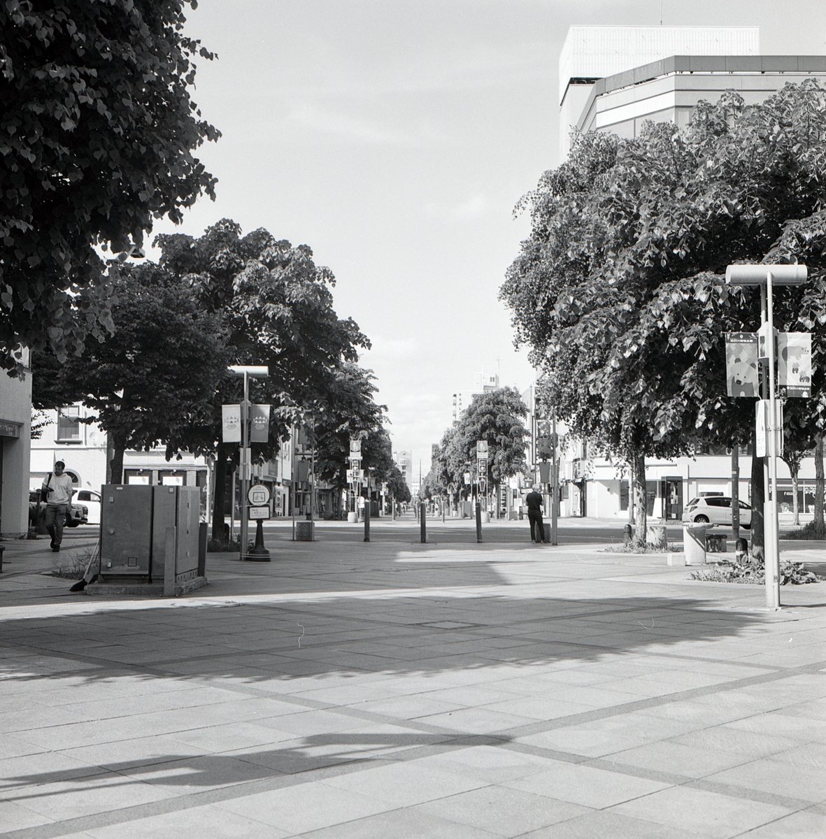1971111540's tweet photo. 旭川

rolleiflex3.5f
kentmere pan400 https://t.co/oYrHC03t7O