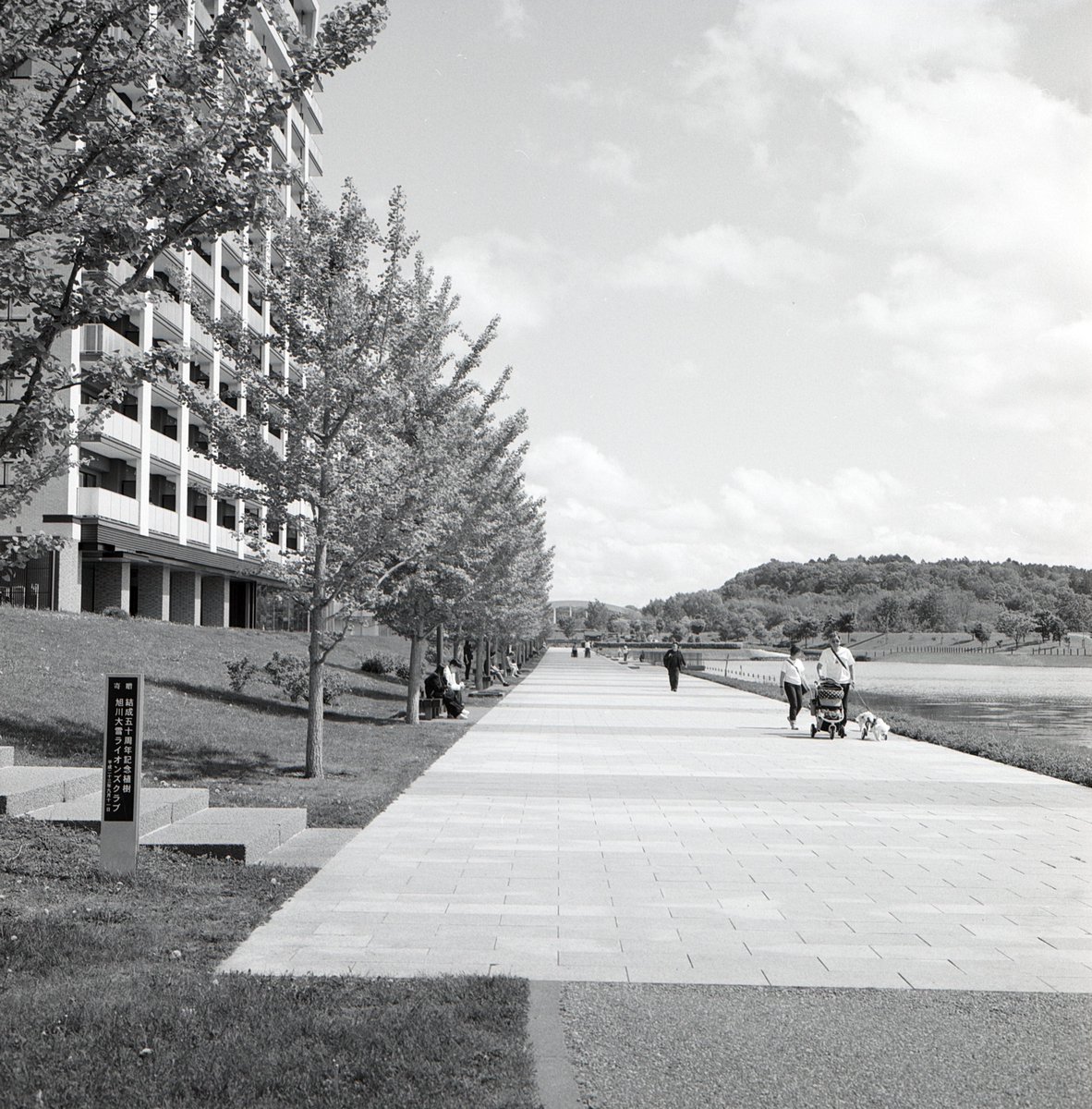 1971111540's tweet photo. 旭川

rolleiflex3.5f
kentmere pan400 https://t.co/oYrHC03t7O
