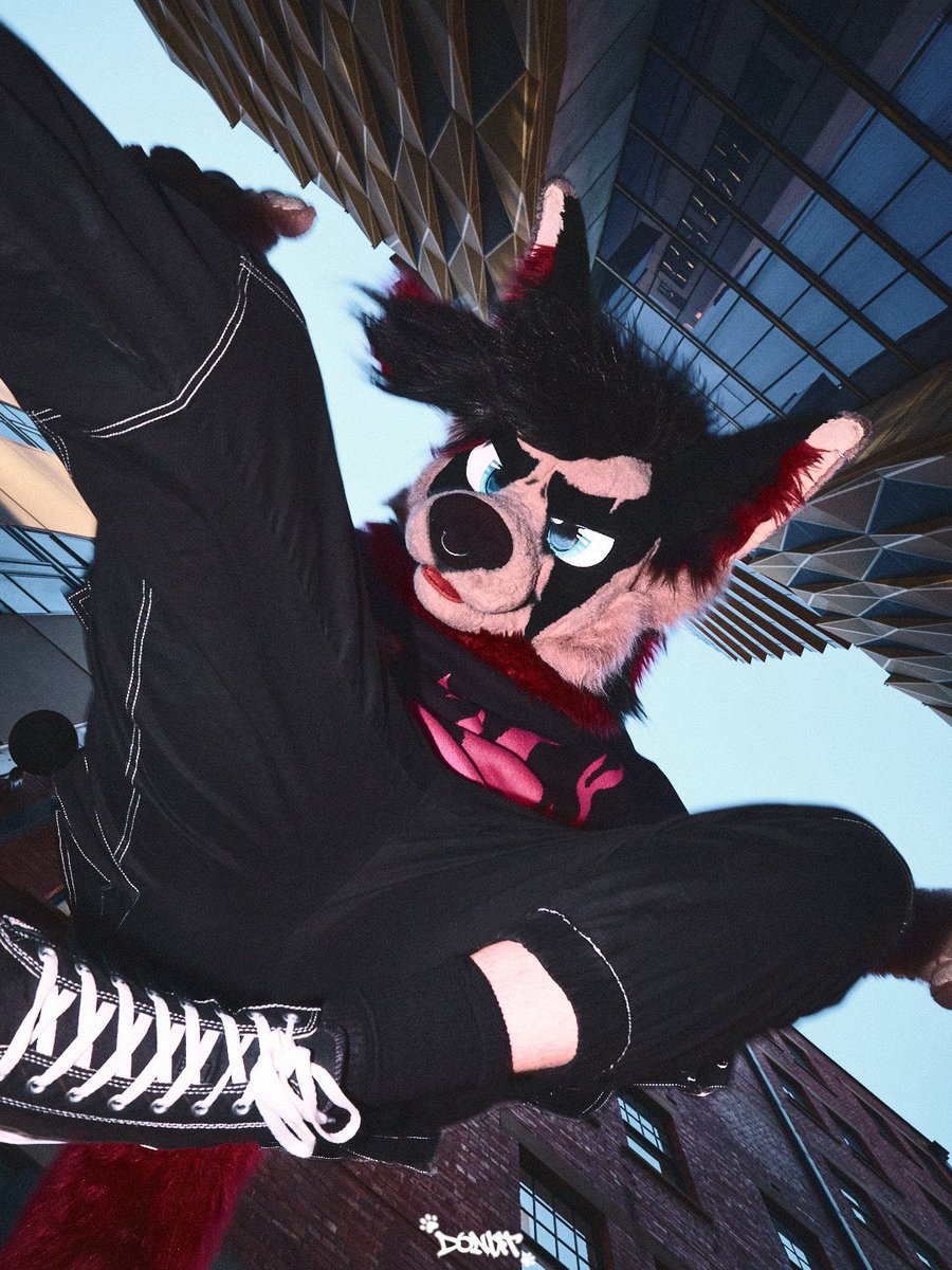 Dennis_Gunnn's tweet photo. Who said dogs can’t fly

📸 by @Demonic__Donut https://t.co/N9L5LRlw2K