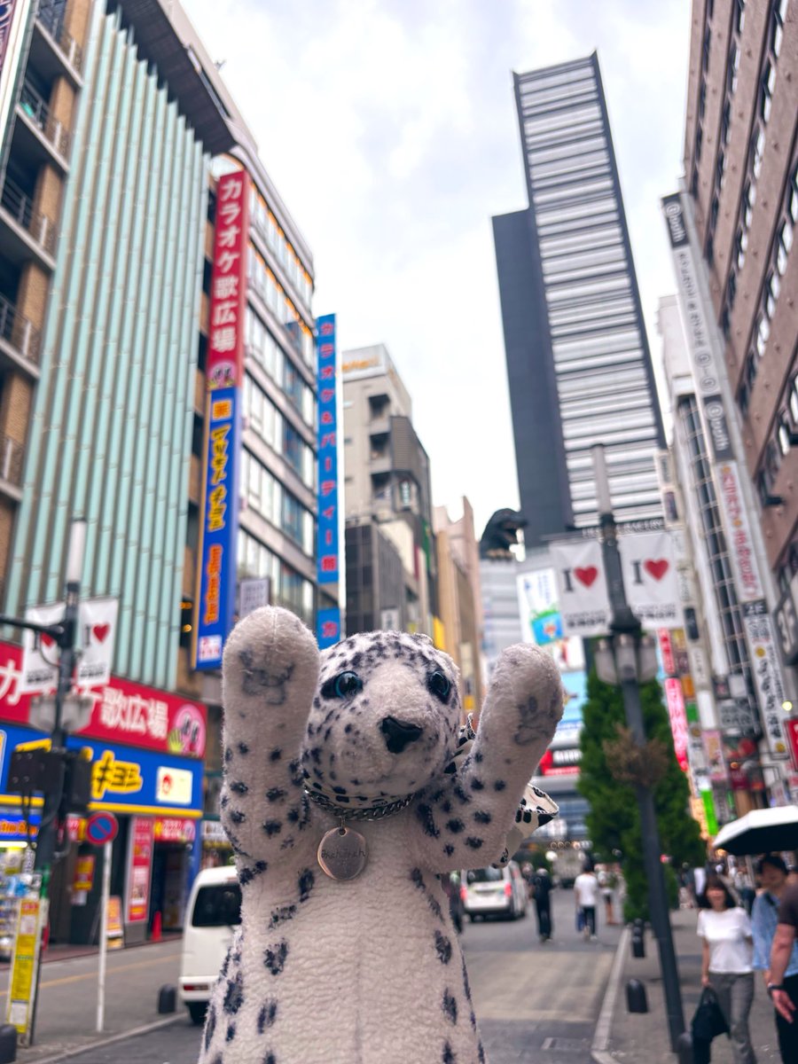 みょんみょん🐆 (@myonmyon_hyo) / Posts / X
