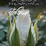 Photo by نوف | N o u f ✨ (@M__a8a)