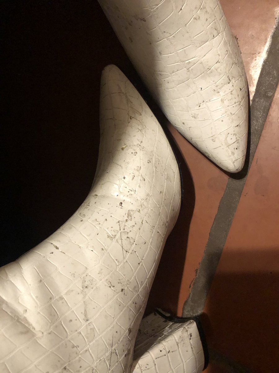 roselatteh's tweet photo. Algun voluntario que limpie mis zapatos?? 

Feet slave findom diosa pies https://t.co/xyaAFSVqsJ