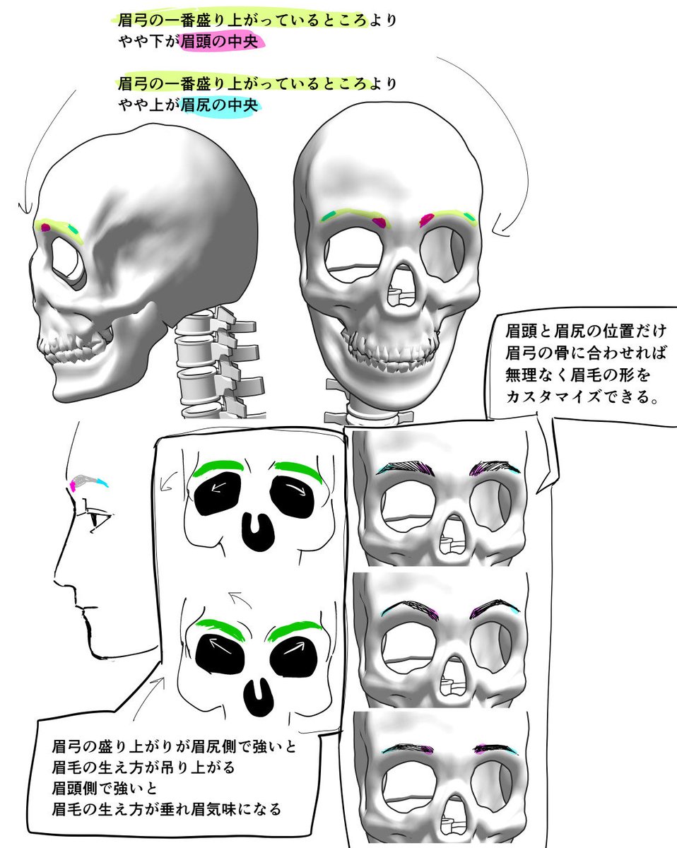 shiro_saijo's tweet photo. キャラの眉毛を描くのが楽になったメモ。
キャラごとに眉弓の形を設定し、眉頭と眉尻の位置だけ固定してあとはキャラの印象に合わせて眉の形を変える。 https://t.co/MSaanbcqBR