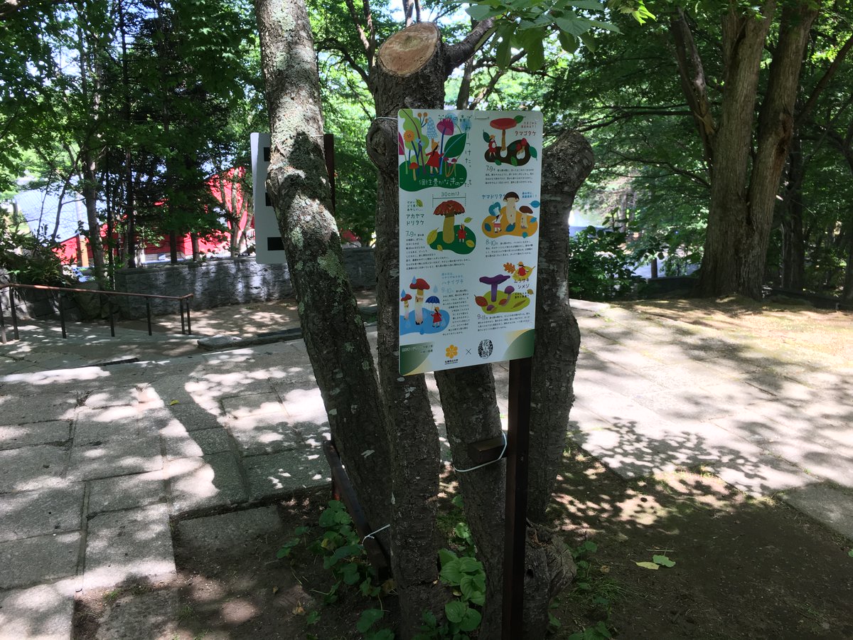 ScuToday's tweet photo. /／
  📢札幌芸術の森美術館 展覧会「花と獣 いろとかたち」に、
　　デザイン学部学生の作品が展示されました
\＼

2026年は、札幌市立大学の開学20周年と、芸術の森キャンパスに隣接し、連携協定を結ぶ、札幌芸術の森の開園40周年を迎える年です✨
この記念すべき年に、札幌芸術の森美術館の展覧会「花と獣 いろとかたち」の関連企画として、「いつもの森の、しらないはなし。」と題して、「札幌芸術の森の動植物」をテーマとした、デザイン学部生の作品９点を展示させていただきました！

展示作品は、すべて、札幌芸術の森で観察できる動物や植物、菌類を対象としたものです🪹🌱🍇🍄デザイン学部の椎野 亜紀夫 教授が、事前に動植物の事例を30点ほど提示して学生にレクチャーを行い、その中から学生自身が具体的な種に着目してテーマを選び、わかりやすく図解しました📖

作品は、展覧会の会場である札幌芸術の森美術館と野外美術館をつなぐ、つづら折階段の木々🌳等に設置され、来場者の方に、動植物の特徴や暮らしぶり、生き物同士のつながりなどを紹介して、豊かな自然が広がる札幌芸術の森の動植物の魅力を知っていただく機会としました✨

ぜひ、展覧会に足をお運びいただき、札幌芸術の森の自然の美しさと、生き物たちの命の息吹を感じてください😊

🌷展覧会「花と獣　いろとかたち」🦌
会期　2026年7月11日（土）～9月27日（日）
会場　札幌芸術の森美術館、札幌芸術の森野外美術館、他