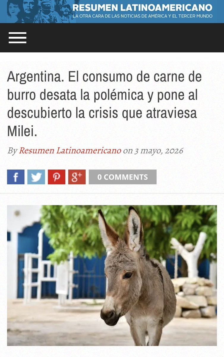 Willy tweet media