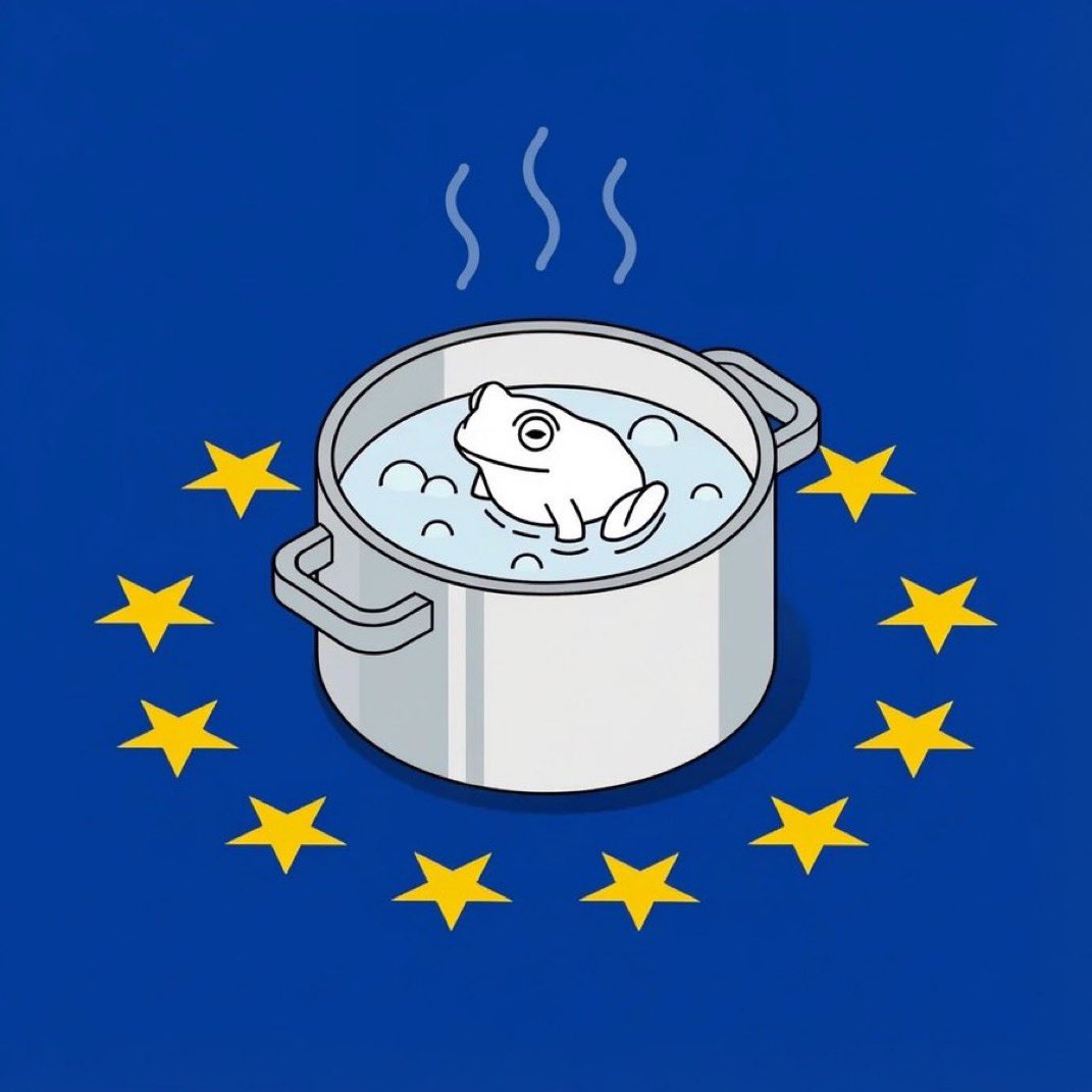 zensurkontrolle's tweet photo. 🇪🇺 Die EU ist das Werkzeug zur Transformation ganz Europas unter eine neue Weltordnung: totale Kontrolle durch zentrale Gesetze, Digital-IDs, CBDC & Zensur. Von oben nach unten, undemokratisch, schrittweise Vertrag um Vertrag.
🐸 Jahrzehnte des allmählichen Froschkochens. #EUxit https://t.co/PJ1zizFB4U