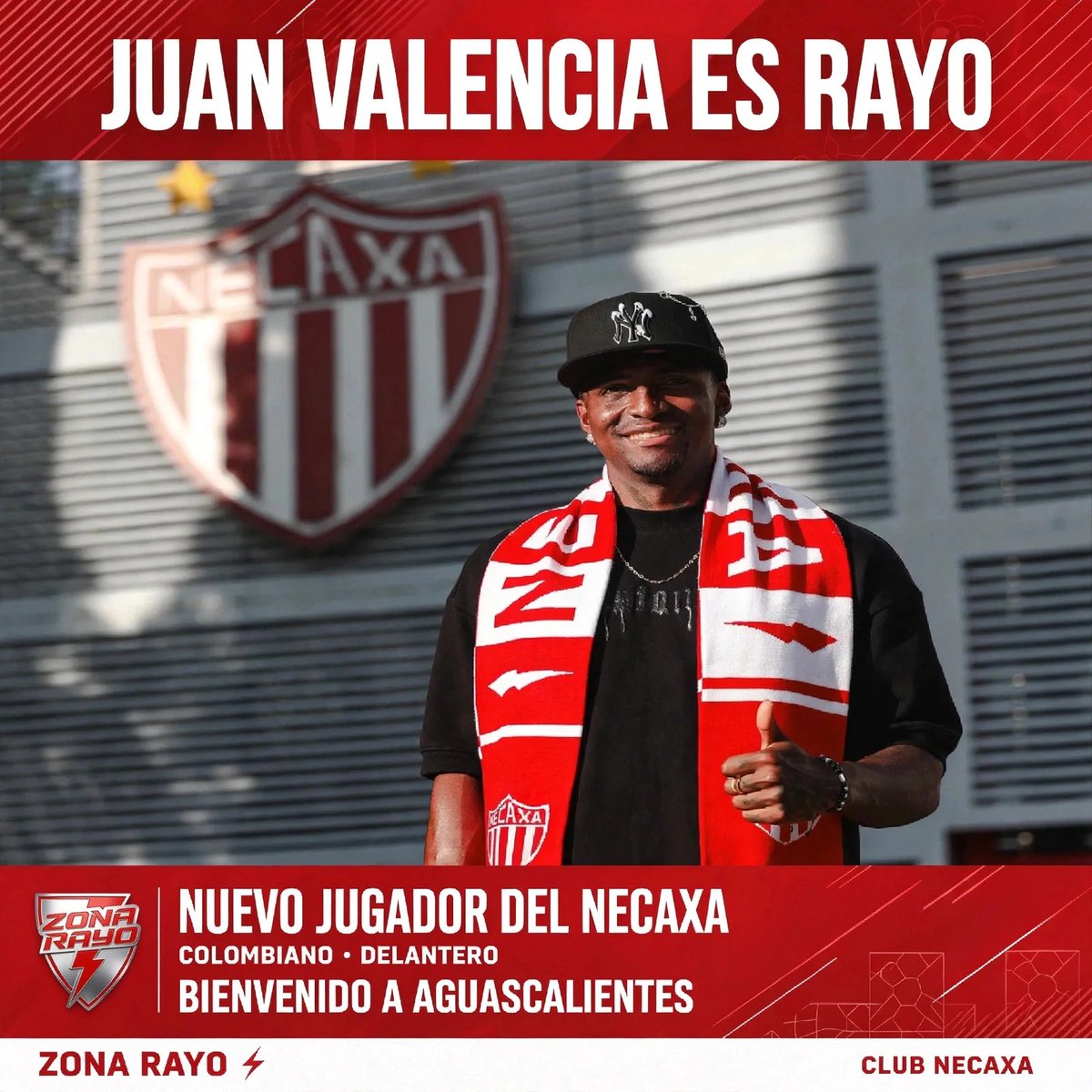 Zona Rayo tweet media