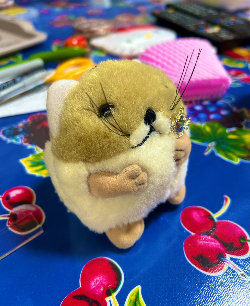 tnkryp's tweet photo. やっぴーふと見るとまつ毛はえてるときあってかわいい👀 https://t.co/7OquNQ2ETg