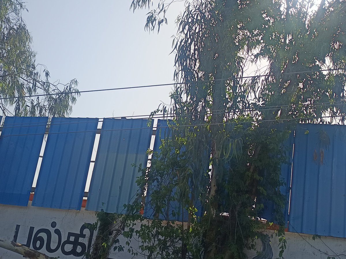 AjithMersal's tweet photo. இடம் :Ragavendra blue metal,sadachivakkam,uthiramerur,kanchipuram.
மின்சாரம் இன்னும் இணைப்பில் உள்ளது.தயவு செய்து சரி பார்க்கவும் 
@TANGEDCO_Offcl https://t.co/wSQ4tWdgaO