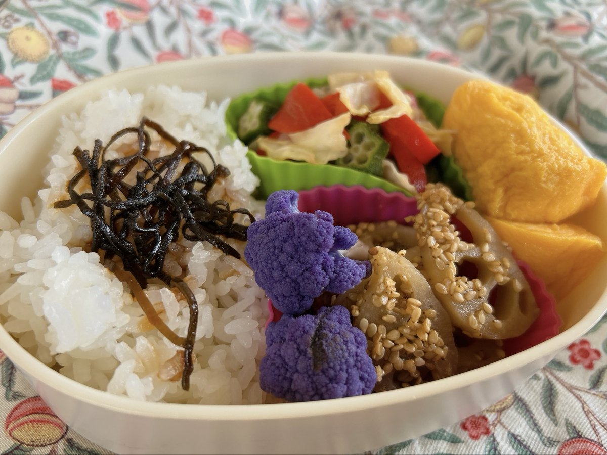 ca_co_55's tweet photo. おひるーーー🍱
お弁当箱開けて我ながらビックリする程おままごとのお弁当のようなカラフルさ❣️ https://t.co/8D5m7oS9JH